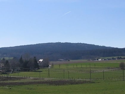 Rösterkopf