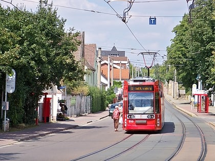 schkopau halle