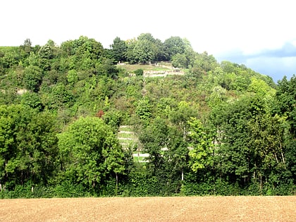 burgberg steinheim an der murr