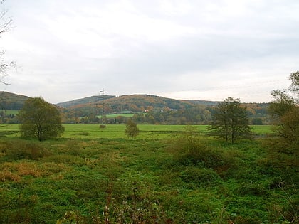 Naturschutzgebiet Ruhraue Witten-Gedern