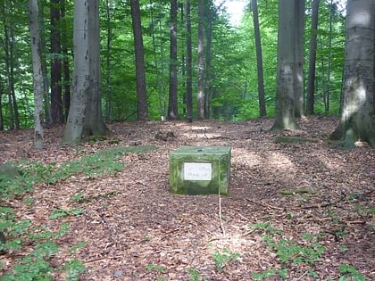 siegfriedstein herrnhut