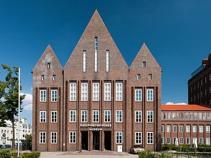 Museo de Historia Natural de Brunswick