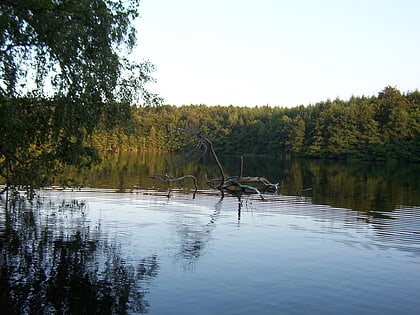 park krajobrazowy lauenburg lakes