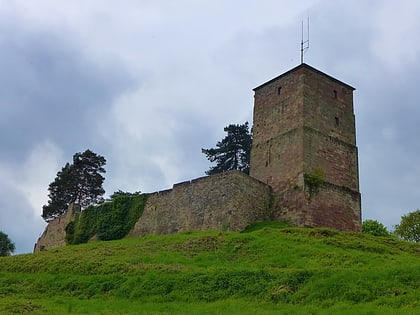 Ruine Burg Siersburg