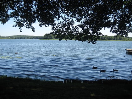 oberpfuhl park krajobrazowy uckermark lakes