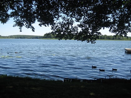 oberpfuhl naturpark uckermarkische seen