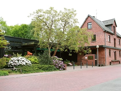 Bibliothek Waldmühle