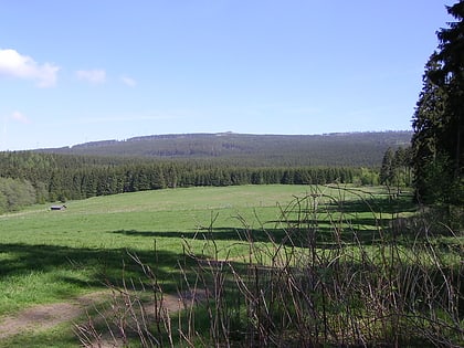 bruchberg park narodowy harzu