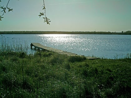 Lago Ludwigshofer