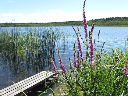 Großer Pinnower See