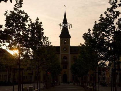 city hall pfaffenhofen an der ilm