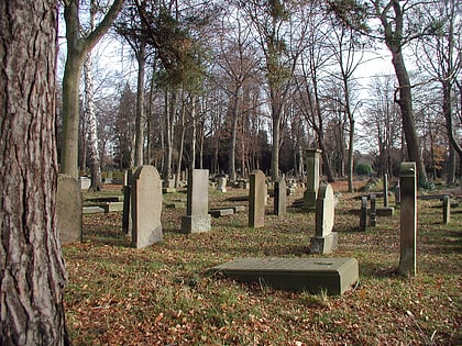 cmentarz zydowski kolonia