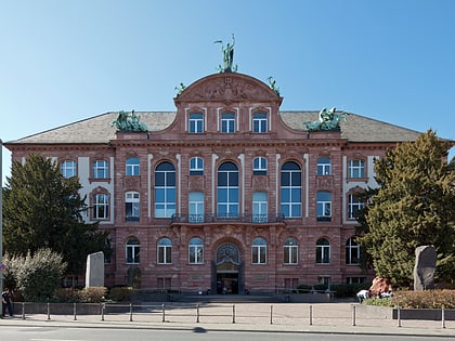 naturmuseum senckenberg frankfurt nad menem