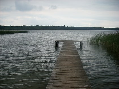 lago kleinpritzer
