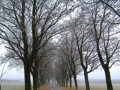 Freihamer Allee