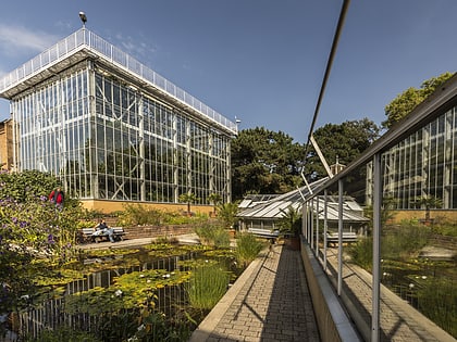 Jardín botánico de la Universidad de Halle-Wittenberg