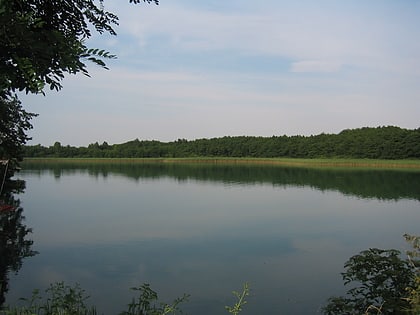 feldberg lake district nature park