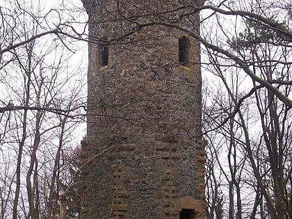 steinberg goslar