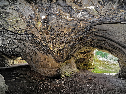 Grotte de Vogelherd