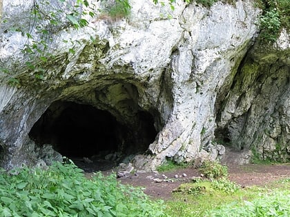 Hohlenstein-Stadel