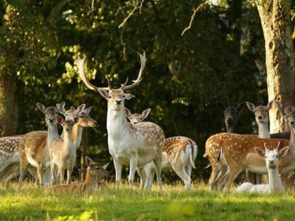 Wildpark Ortenburg