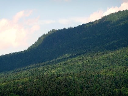 kleiner falkenstein park narodowy lasu bawarskiego