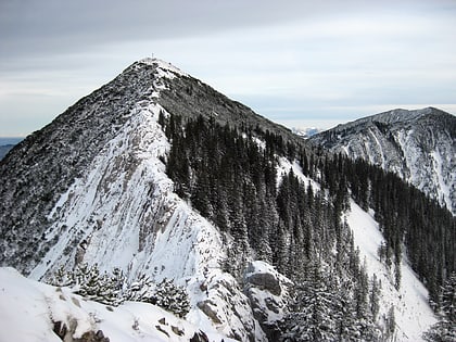 brecherspitz schliersee