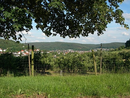 Höchst im Odenwald