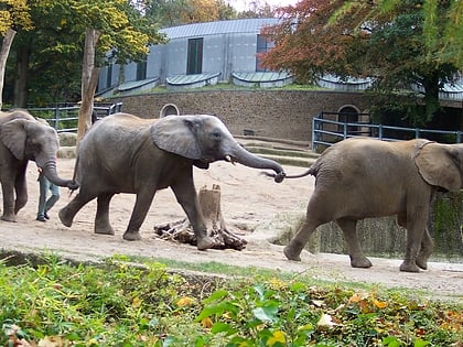 wuppertal zoo