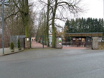 tierpark hirschfeld