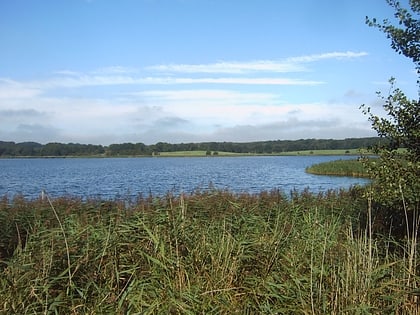 wreechener see nature reserve southeast rugen biosphere reserve