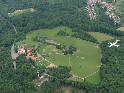 wildpark potzberg