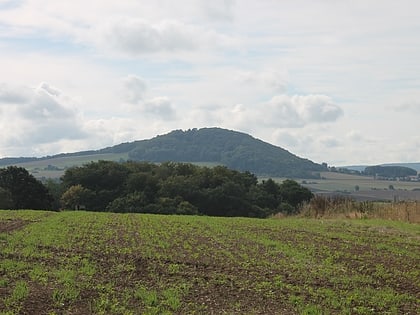 heiligenburg castle