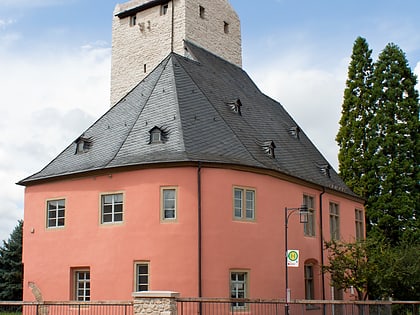 Burg Windeck Heidesheim