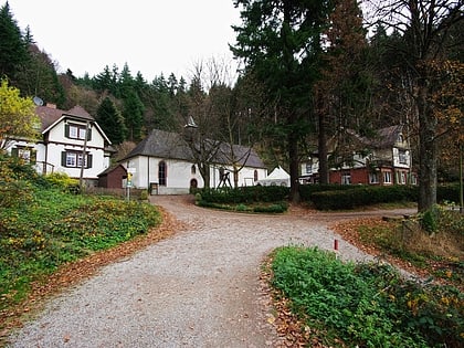musbach valley fryburg bryzgowijski