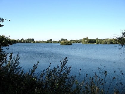 adolfosee