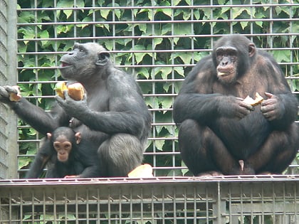 Leintalzoo Schwaigern