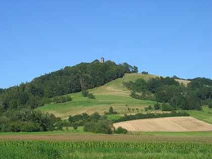 Einkorn Hill