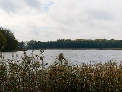 lago hof