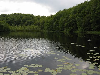 schwarzer see biospharenreservat sudost rugen