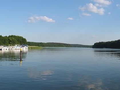 lago ellbogen