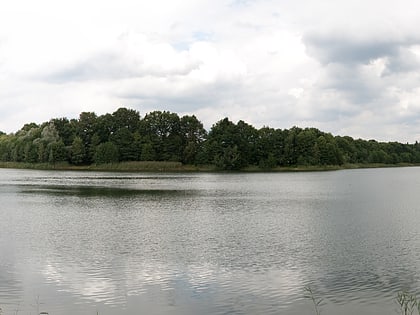 lago kogeler