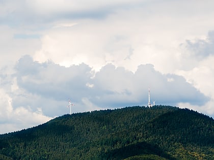 brandenkopf oberharmersbach