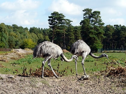 hodenhagen