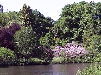 arboretum lehmkuhlen