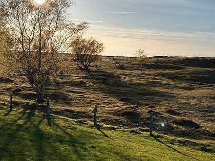 naturschutzgebiet weissenhauser brok