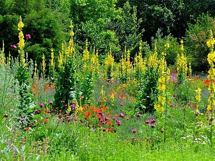 Jardín de plantas aromáticas de Erlangen