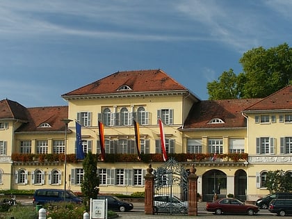 Schloss Neckarhausen