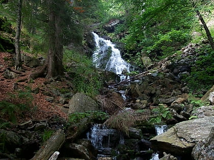 hollbachgspreng park narodowy lasu bawarskiego