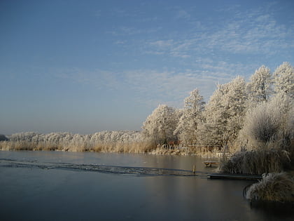 lago nesselpfuhl uckermark lakes nature park